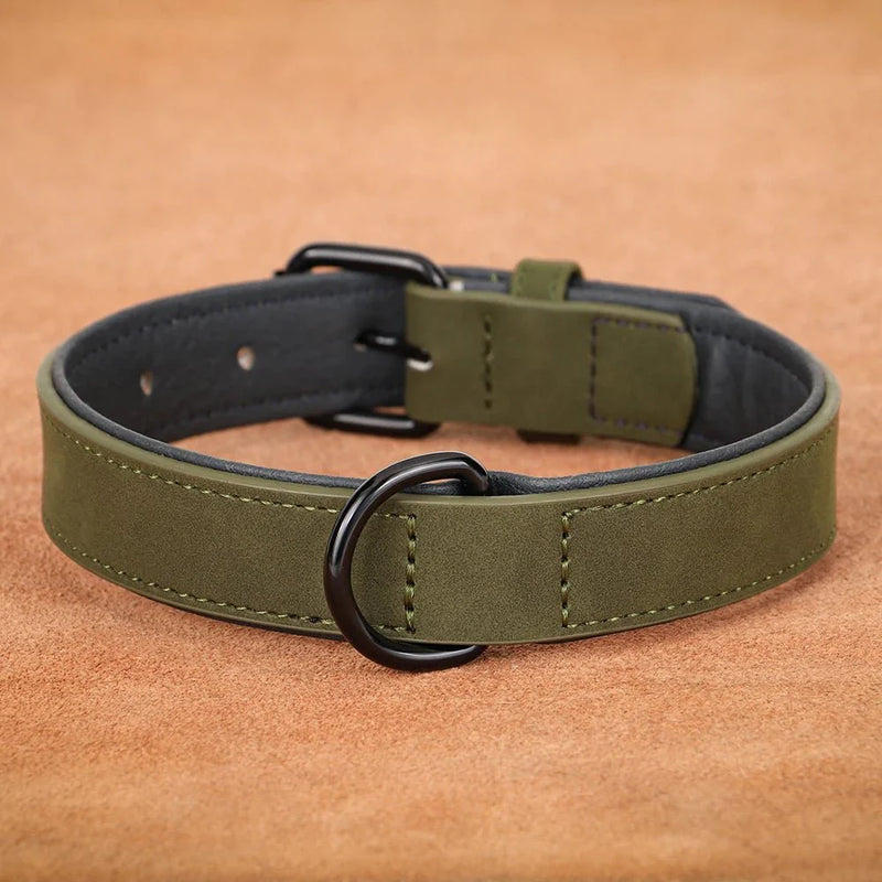 https://cdn.shopify.com/s/files/1/0647/9170/7830/files/collier-style-cuir-pour-chien-4206721.webp?v=1777924224