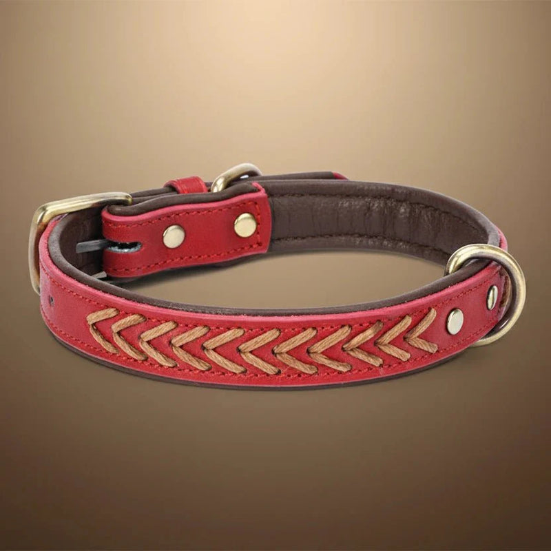 https://cdn.shopify.com/s/files/1/0647/9170/7830/files/collier-tresse-chien-5470117.webp?v=1777923911