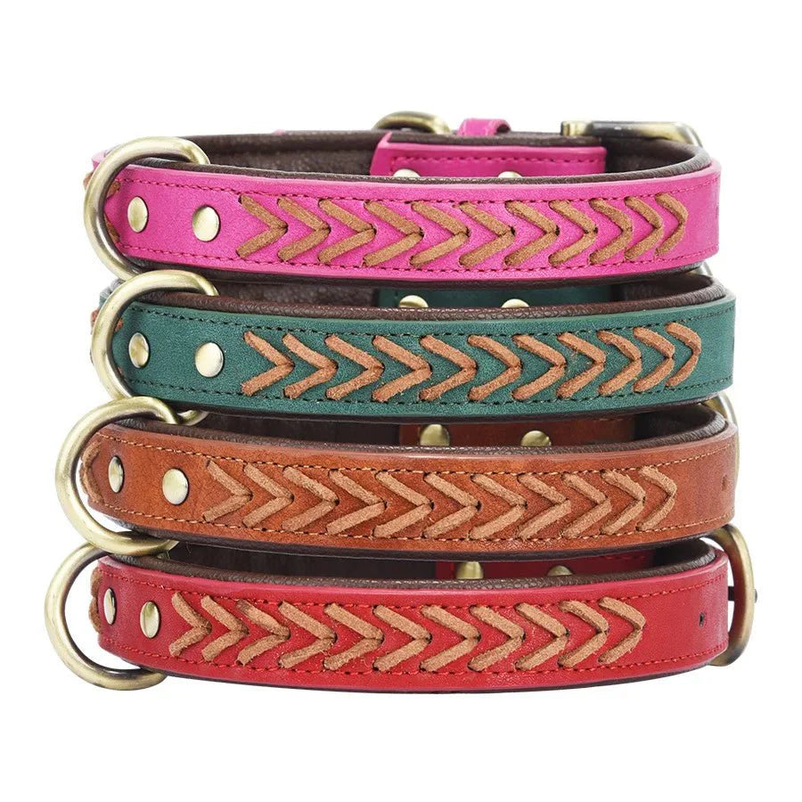 https://cdn.shopify.com/s/files/1/0647/9170/7830/files/collier-tresse-chien-5470117.webp?v=1777923911