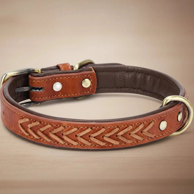 https://cdn.shopify.com/s/files/1/0647/9170/7830/files/collier-tresse-chien-6202567.webp?v=1777923911