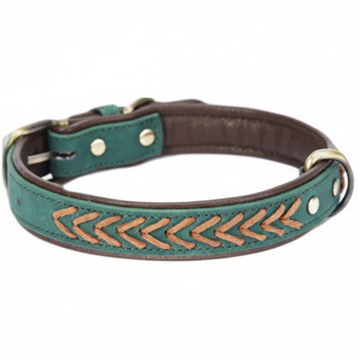 https://cdn.shopify.com/s/files/1/0647/9170/7830/files/collier-tresse-chien-9434862.webp?v=1777923910