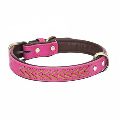 https://cdn.shopify.com/s/files/1/0647/9170/7830/files/collier-tresse-chien-9634222.webp?v=1777923910