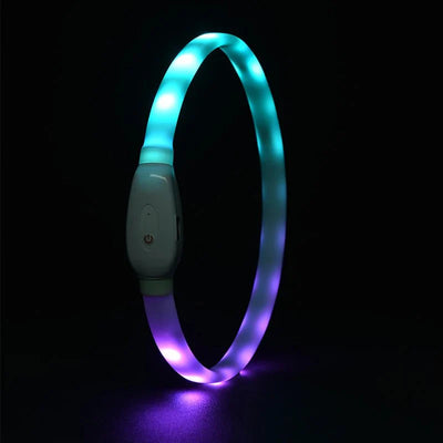 https://cdn.shopify.com/s/files/1/0647/9170/7830/files/collier-usb-rechargeable-pour-chien-5123025.webp?v=1777924450