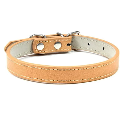 https://cdn.shopify.com/s/files/1/0647/9170/7830/files/colliers-pour-chiots-2582674.webp?v=1777925293