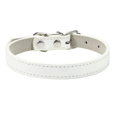 https://cdn.shopify.com/s/files/1/0647/9170/7830/files/colliers-pour-chiots-2811893.webp?v=1777925294