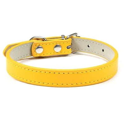 https://cdn.shopify.com/s/files/1/0647/9170/7830/files/colliers-pour-chiots-3389451.webp?v=1777925293