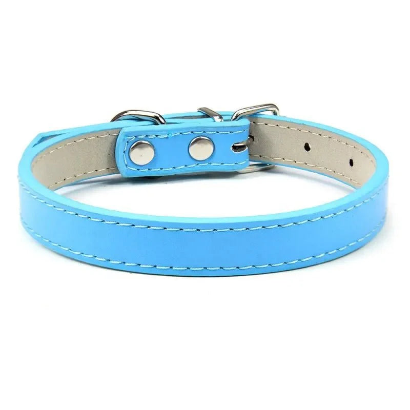 https://cdn.shopify.com/s/files/1/0647/9170/7830/files/colliers-pour-chiots-3788764.webp?v=1777925294