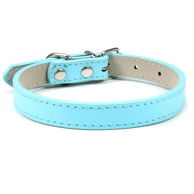 https://cdn.shopify.com/s/files/1/0647/9170/7830/files/colliers-pour-chiots-4834923.webp?v=1777925358
