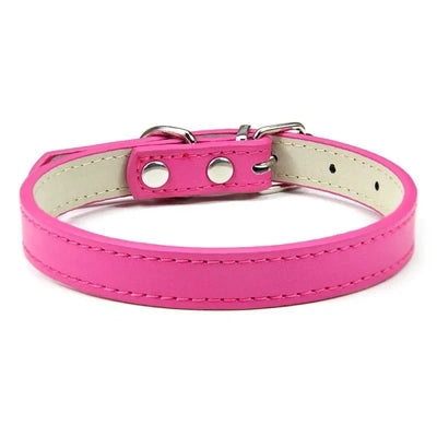 https://cdn.shopify.com/s/files/1/0647/9170/7830/files/colliers-pour-chiots-5247719.webp?v=1777925294
