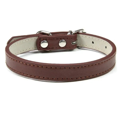 https://cdn.shopify.com/s/files/1/0647/9170/7830/files/colliers-pour-chiots-5447949.webp?v=1777925356