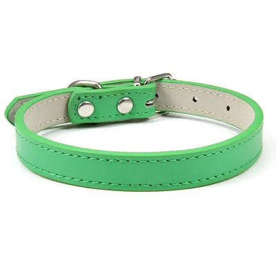 https://cdn.shopify.com/s/files/1/0647/9170/7830/files/colliers-pour-chiots-6642026.webp?v=1777925356