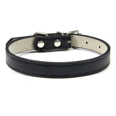 https://cdn.shopify.com/s/files/1/0647/9170/7830/files/colliers-pour-chiots-6648794.webp?v=1777925355