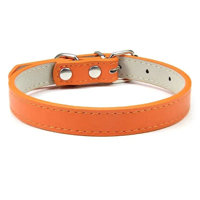 https://cdn.shopify.com/s/files/1/0647/9170/7830/files/colliers-pour-chiots-6691710.webp?v=1777925356