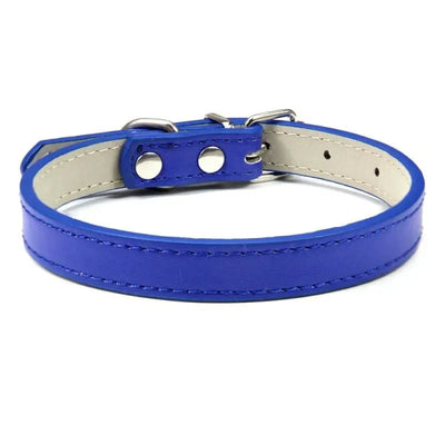 https://cdn.shopify.com/s/files/1/0647/9170/7830/files/colliers-pour-chiots-7816590.webp?v=1777925292