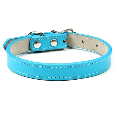 https://cdn.shopify.com/s/files/1/0647/9170/7830/files/colliers-pour-chiots-8283534.webp?v=1777925293