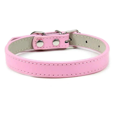 https://cdn.shopify.com/s/files/1/0647/9170/7830/files/colliers-pour-chiots-8379691.webp?v=1777925293