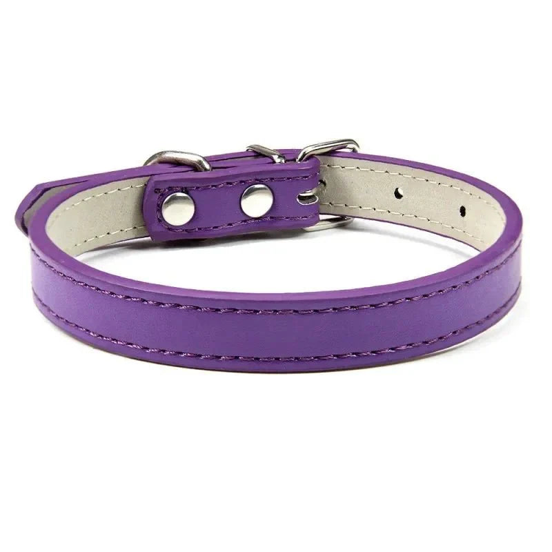 https://cdn.shopify.com/s/files/1/0647/9170/7830/files/colliers-pour-chiots-3788764.webp?v=1777925294