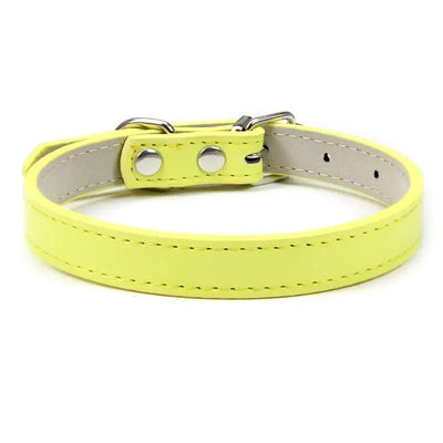 https://cdn.shopify.com/s/files/1/0647/9170/7830/files/colliers-pour-chiots-9687435.webp?v=1777925294