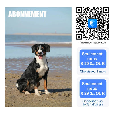 https://cdn.shopify.com/s/files/1/0647/9170/7830/files/colliers-reperage-pour-chiens-2218741.webp?v=1777923489