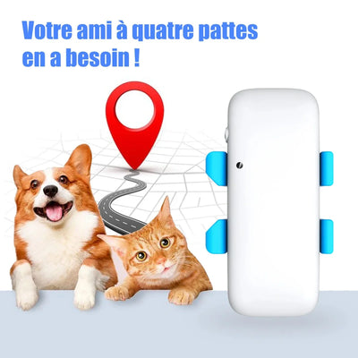 https://cdn.shopify.com/s/files/1/0647/9170/7830/files/colliers-reperage-pour-chiens-2836619.webp?v=1777923488