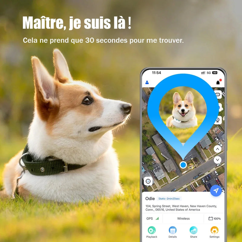 https://cdn.shopify.com/s/files/1/0647/9170/7830/files/colliers-reperage-pour-chiens-2836619.webp?v=1777923488