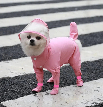 https://cdn.shopify.com/s/files/1/0647/9170/7830/files/combinaison-impermeable-chien-3173452.webp?v=1777924992