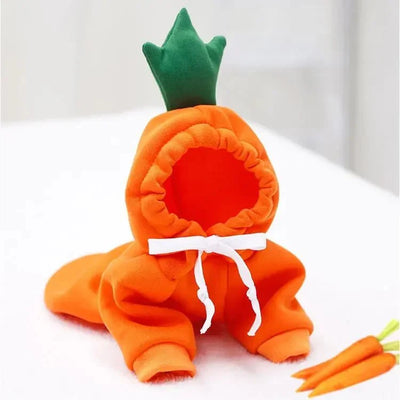 https://cdn.shopify.com/s/files/1/0647/9170/7830/files/cosplay-fruit-pour-petit-chien-4689243.webp?v=1777925172