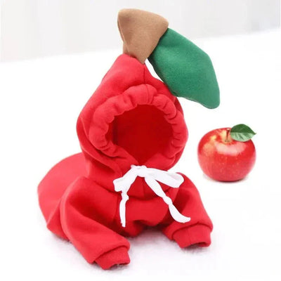 https://cdn.shopify.com/s/files/1/0647/9170/7830/files/cosplay-fruit-pour-petit-chien-9284339.webp?v=1777925171