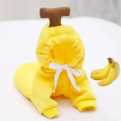 https://cdn.shopify.com/s/files/1/0647/9170/7830/files/cosplay-fruit-pour-petit-chien-9831931.webp?v=1777925171