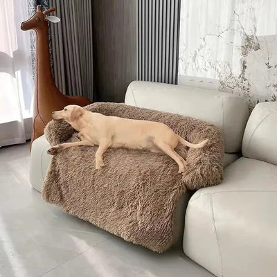 https://cdn.shopify.com/s/files/1/0647/9170/7830/files/coussin-de-canape-pour-chien-3210356.webp?v=1777923190