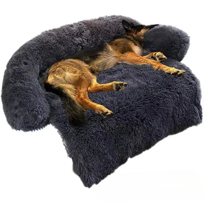 https://cdn.shopify.com/s/files/1/0647/9170/7830/files/coussin-de-canape-pour-chien-3765065.webp?v=1777923192