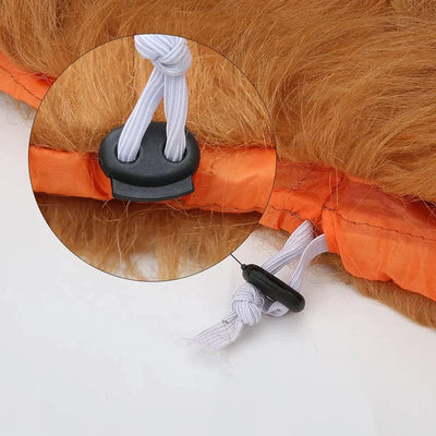 https://cdn.shopify.com/s/files/1/0647/9170/7830/files/criniere-de-lion-pour-chien-3830345.webp?v=1777925111