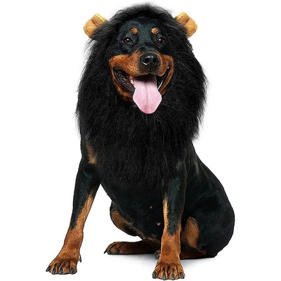 https://cdn.shopify.com/s/files/1/0647/9170/7830/files/criniere-de-lion-pour-chien-5567900.webp?v=1777925112