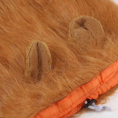 https://cdn.shopify.com/s/files/1/0647/9170/7830/files/criniere-de-lion-pour-chien-8189095.webp?v=1777925111