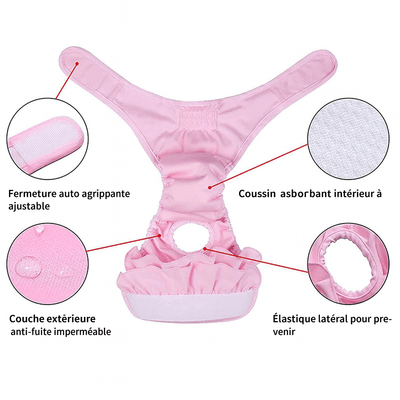 https://cdn.shopify.com/s/files/1/0647/9170/7830/files/culotte-menstruelle-pour-chienne-1662388.png?v=1777925115