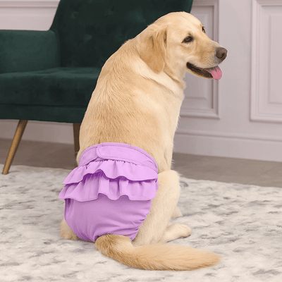 https://cdn.shopify.com/s/files/1/0647/9170/7830/files/culotte-menstruelle-pour-chienne-5350109.png?v=1777925113