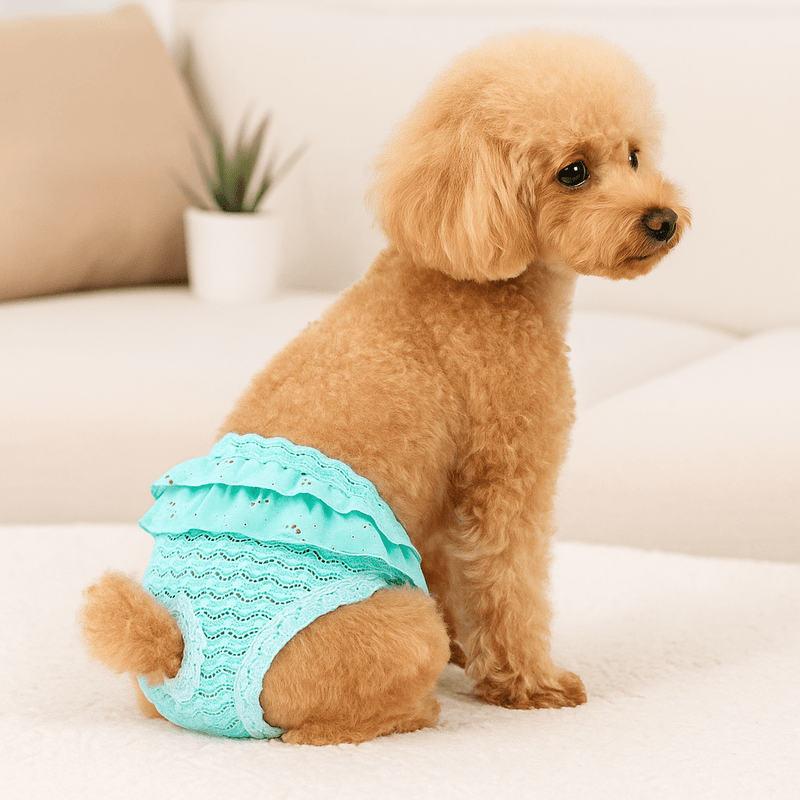 https://cdn.shopify.com/s/files/1/0647/9170/7830/files/culotte-pour-petit-chien-3590142.webp?v=1777925235