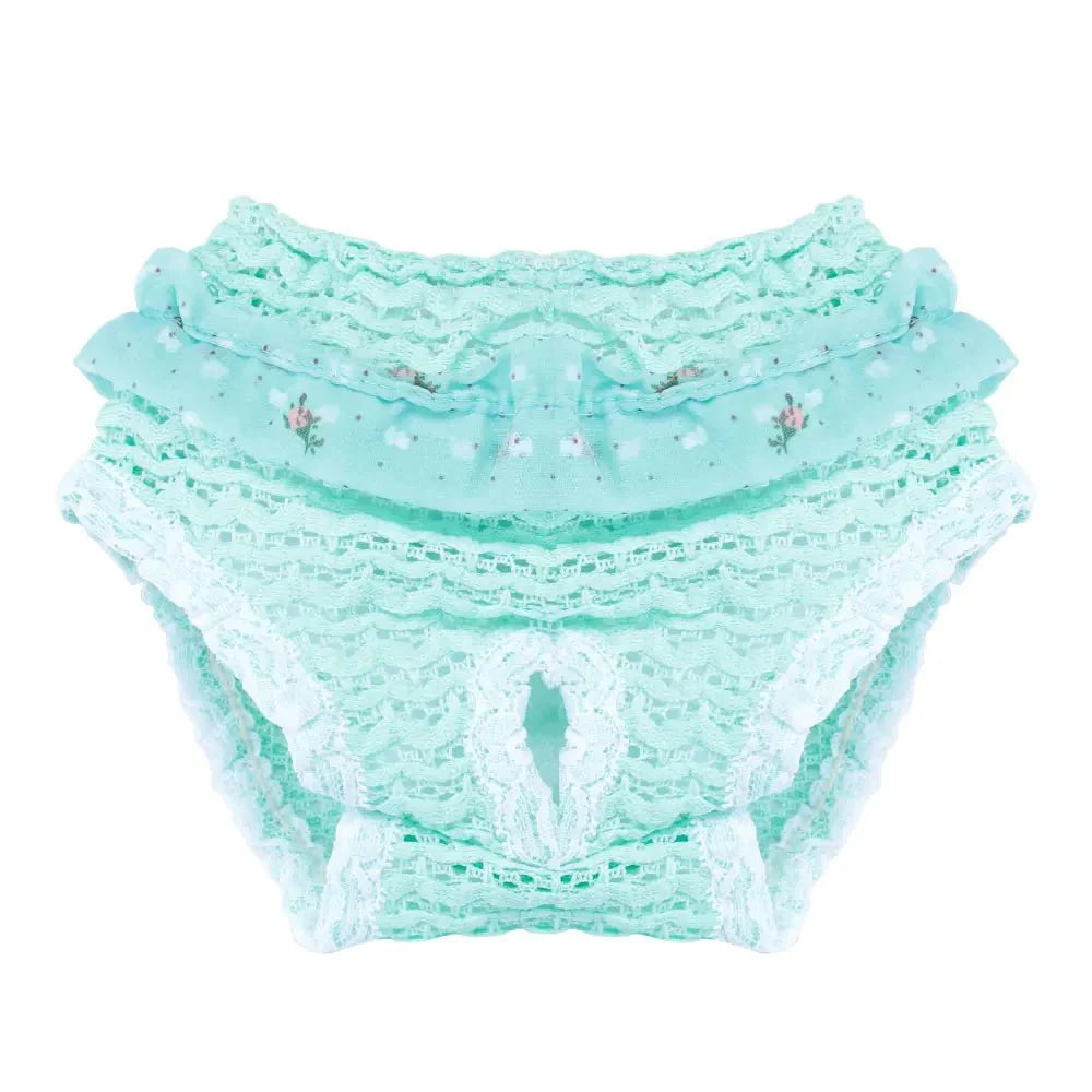 https://cdn.shopify.com/s/files/1/0647/9170/7830/files/culotte-pour-petit-chien-3590142.webp?v=1777925235