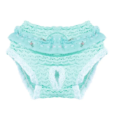 https://cdn.shopify.com/s/files/1/0647/9170/7830/files/culotte-pour-petit-chien-3590142.webp?v=1777925235