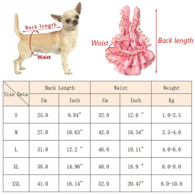 https://cdn.shopify.com/s/files/1/0647/9170/7830/files/culotte-robe-pour-chien-3361091.webp?v=1777925411