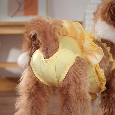 https://cdn.shopify.com/s/files/1/0647/9170/7830/files/culotte-robe-pour-chien-5249476.webp?v=1777925411