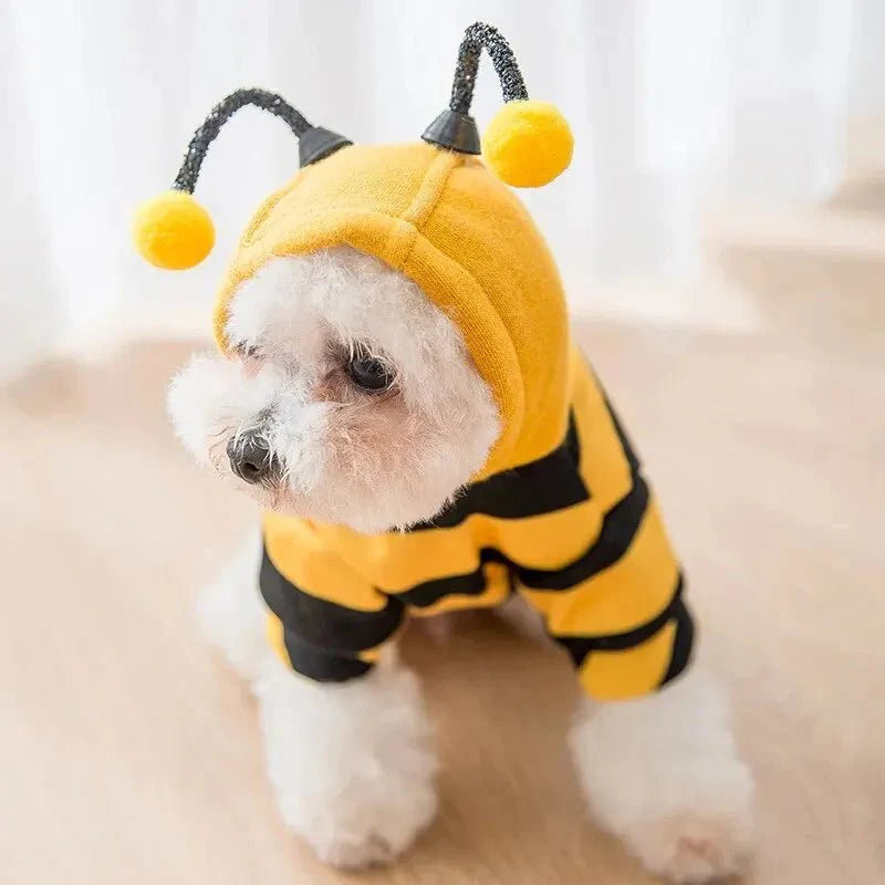 https://cdn.shopify.com/s/files/1/0647/9170/7830/files/deguisement-abeille-pour-chien-6665510.webp?v=1777925591