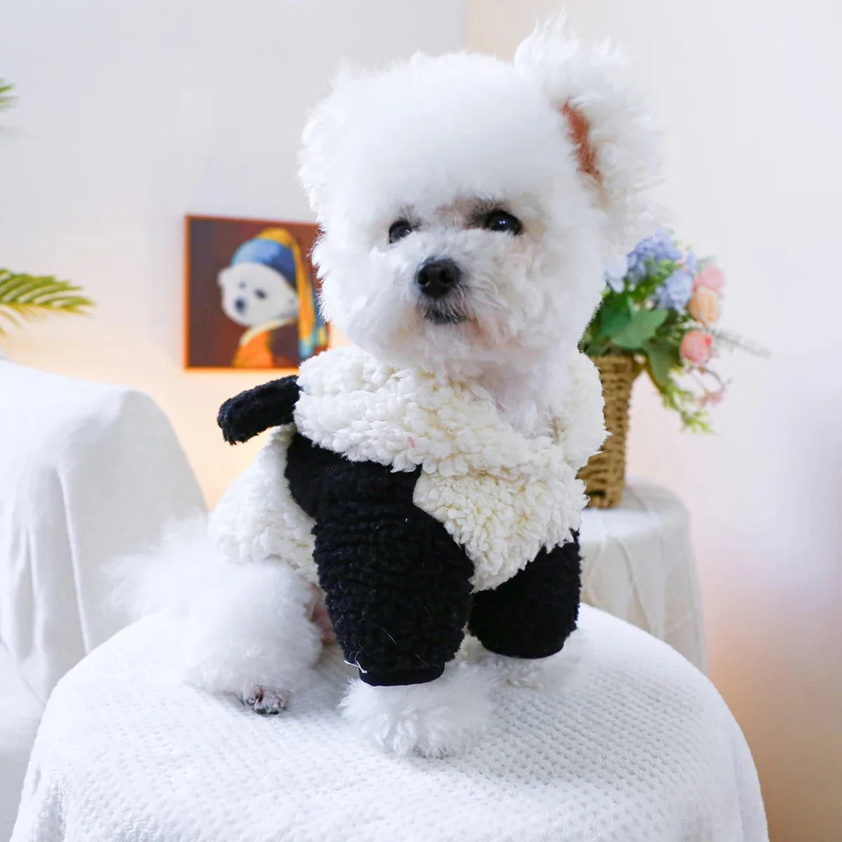 https://cdn.shopify.com/s/files/1/0647/9170/7830/files/deguisement-panda-pour-petit-chien-3421194.webp?v=1777925295