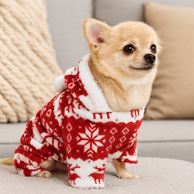 https://cdn.shopify.com/s/files/1/0647/9170/7830/files/deguisement-pull-de-noel-pour-chiens-1694770.webp?v=1777925354