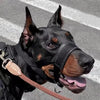 MUSELIÈRE ANTI LÉCHAGE - Gros-Chien.com