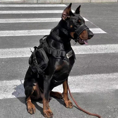 MUSELIÈRE ANTI LÉCHAGE - Gros-Chien.com