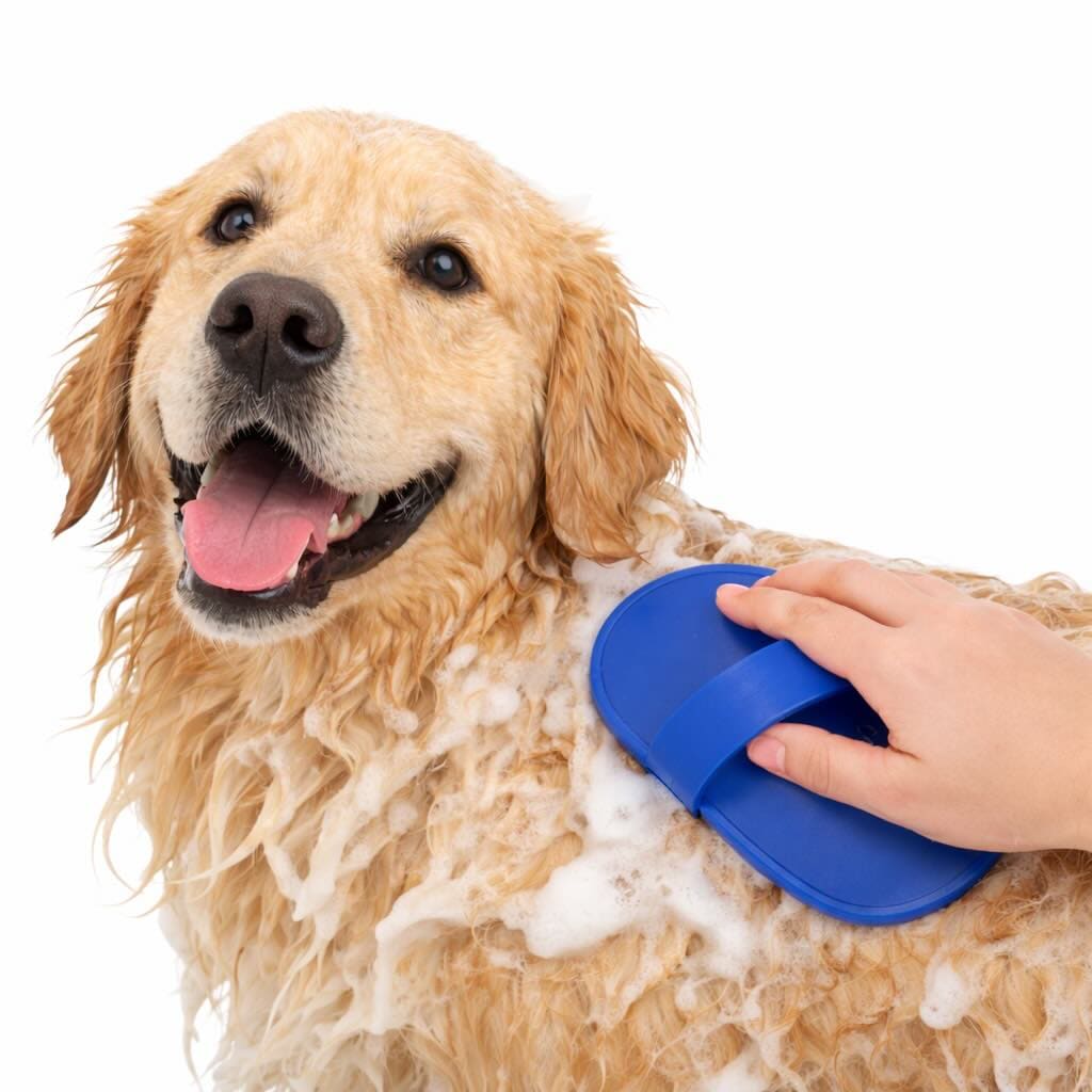 https://cdn.shopify.com/s/files/1/0489/2898/1148/files/dogbrush.jpg?v=1772803960