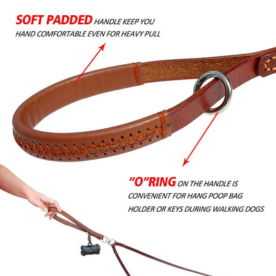 https://cdn.shopify.com/s/files/1/0647/9170/7830/files/double-laisse-pour-chien-1447732.webp?v=1777924148