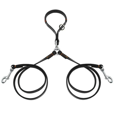 https://cdn.shopify.com/s/files/1/0647/9170/7830/files/double-laisse-pour-chiens-6347444.webp?v=1777924571
