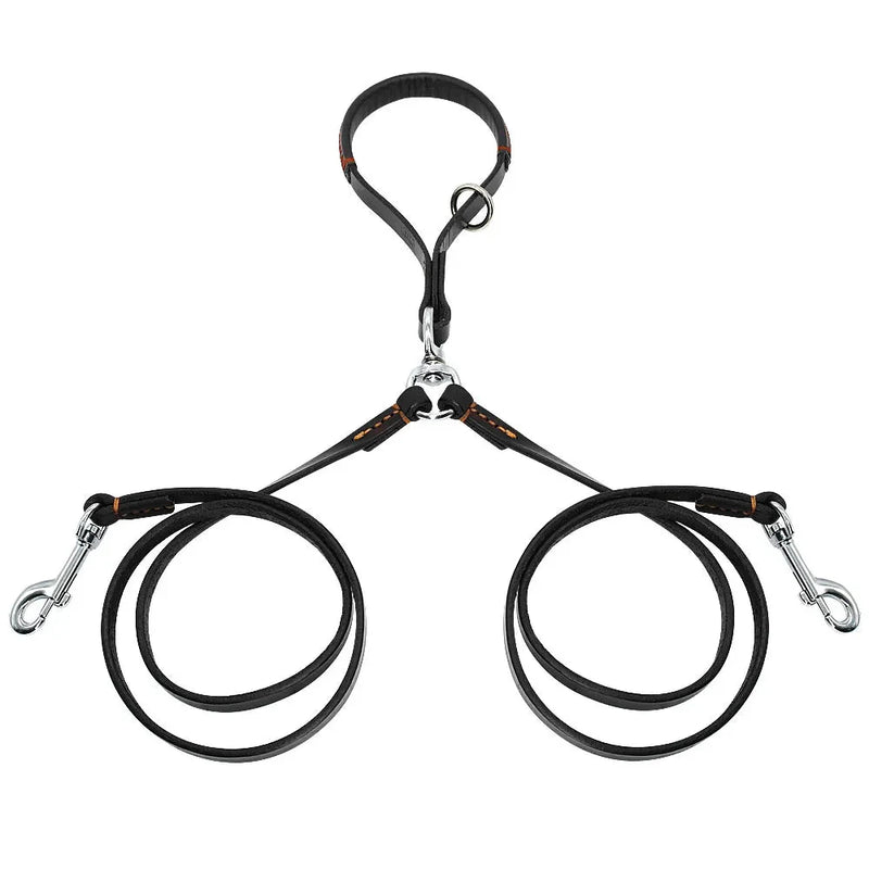 https://cdn.shopify.com/s/files/1/0647/9170/7830/files/double-laisse-pour-chiens-6801193.webp?v=1777924571